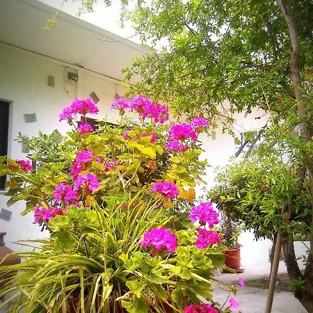 Thalassa Apartment Faliraki