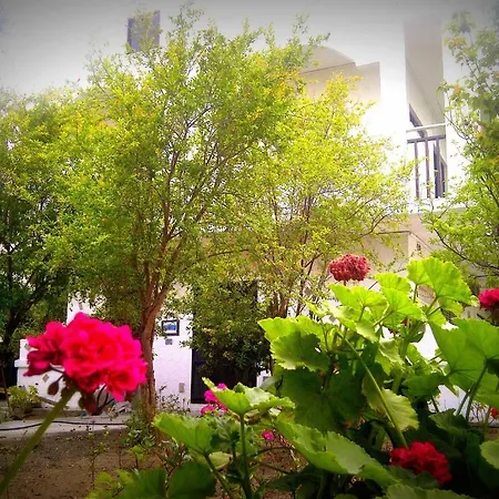 Apartment Thalassa Faliraki